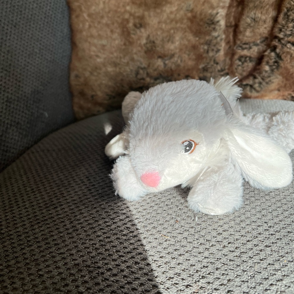Small DanDee Plush Bunny